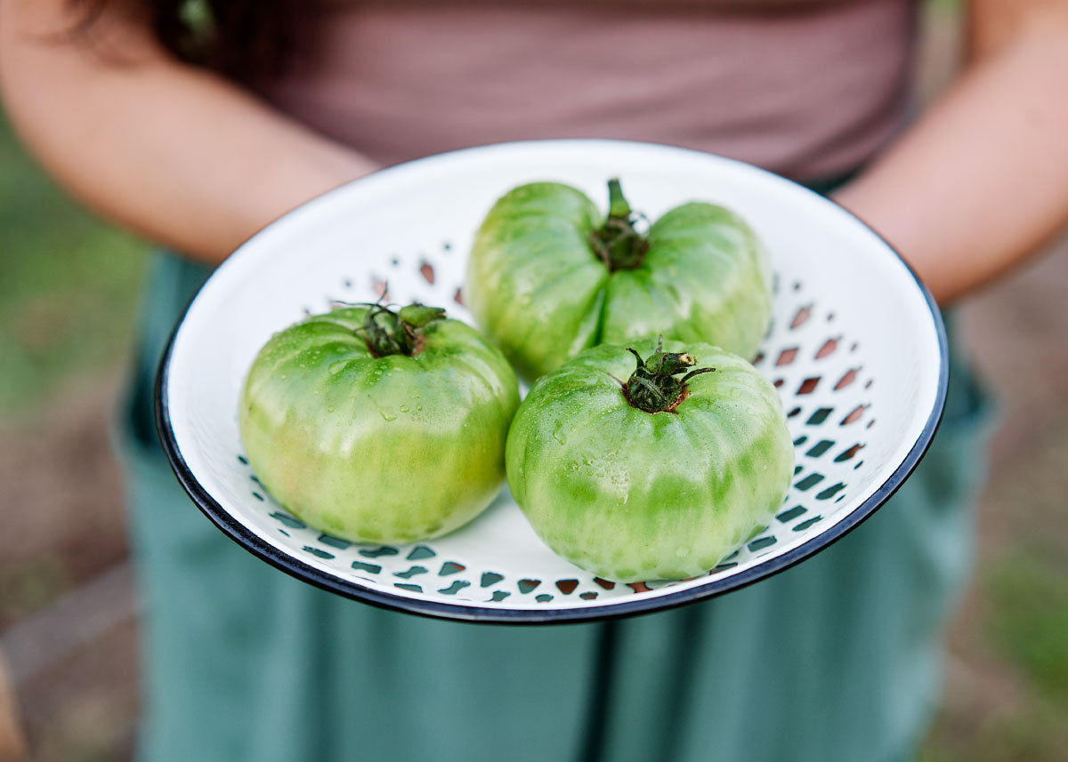 Aunt Ruby's German Green - Organic Tomato Seeds – Bucktown Seed Company