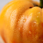 Close-up of a Hillbilly tomato with golden-yellow skin, red marbling, and fresh water droplets on its surface.