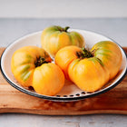 Three large, glowing orange Kellogg's Breakfast beefsteak tomatoes with green shoulders in a white enamel colander.