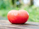 Large, ripe Pink Brandywine tomato with rose-pink skin resting on a rustic wooden surface.
