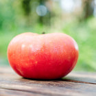 Large, ripe Pink Brandywine tomato with rose-pink skin resting on a rustic wooden surface.