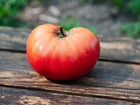 A large, ripe Pink Brandywine tomato with rose-pink skin resting on a weathered wooden surface.