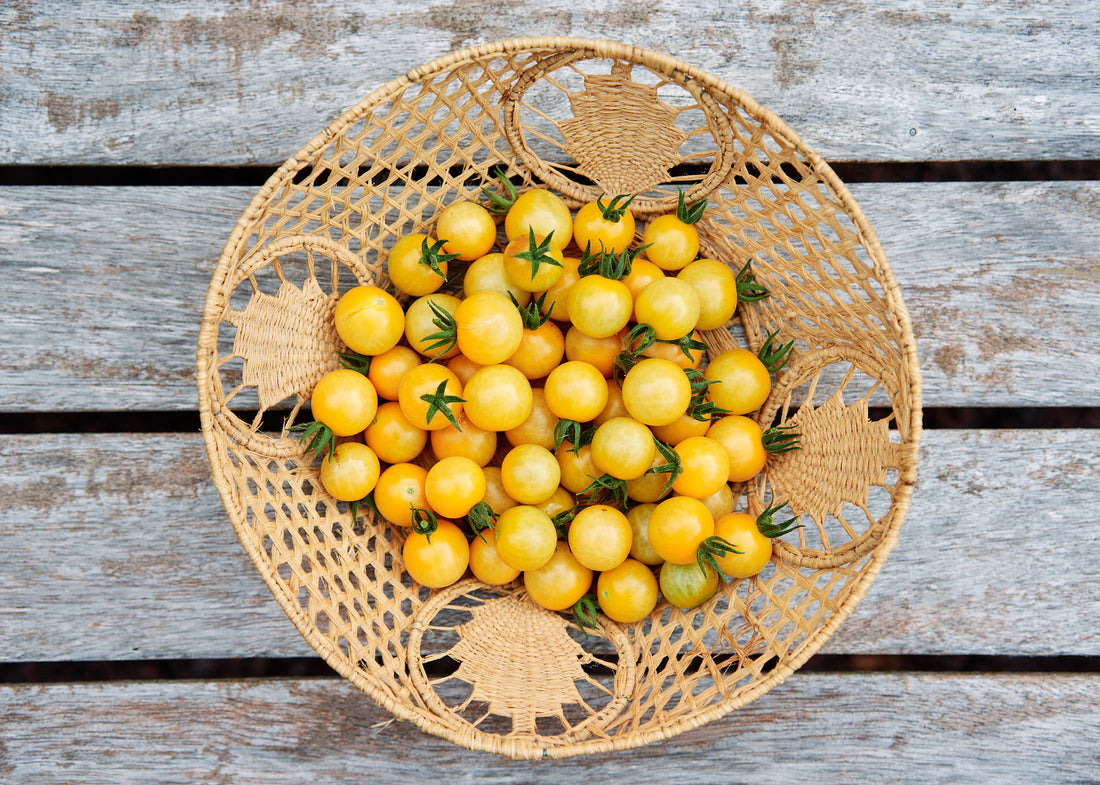 White Cherry - Tomato Seeds