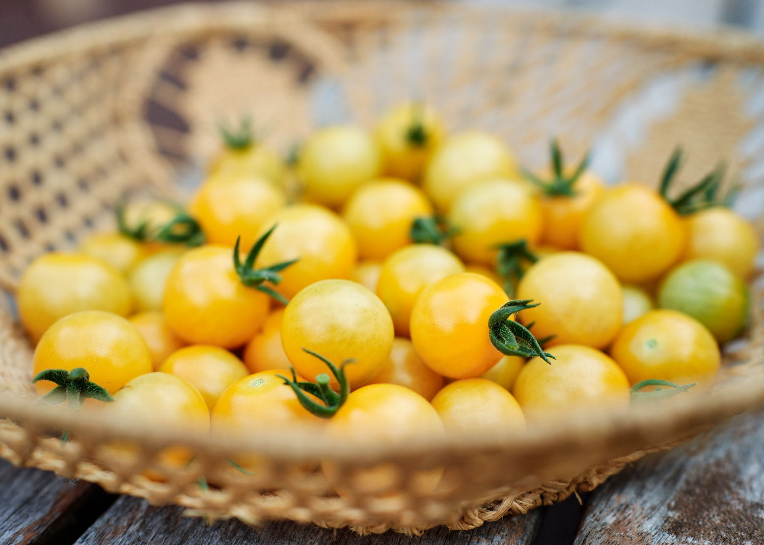 White Cherry - Tomato Seeds