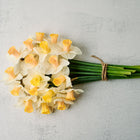 Bouquet of Best Pink Narcissus flowers with soft rose-pink trumpets and creamy white petals tied with twine.