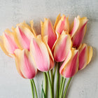 A bouquet of Blushing Lady tulips with soft pink and yellow petals against a textured grey background.