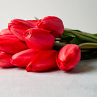 A bouquet of Red Impression tulips with deep red petals tied with twine on a light gray surface.