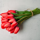 A bouquet of Red Impression tulips with deep red petals and green stems tied with twine on a gray background.