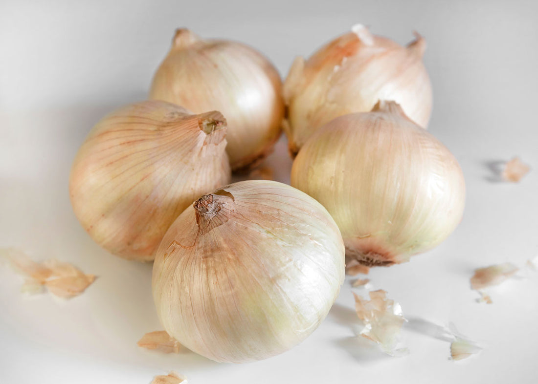 Walla Walla - Onion Seeds - Organic