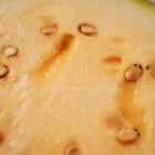 Close-up of the vibrant orange flesh and seeds of a sliced Tendersweet Orange watermelon.