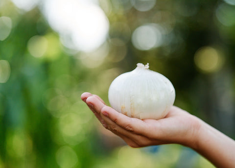 White Sweet Spanish - Onion Seeds