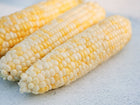 Three ears of Who Gets Kissed sweet corn with yellow and white kernels on a light textured surface.
