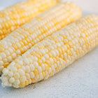 Three ears of Who Gets Kissed sweet corn with yellow and white kernels on a light textured surface.