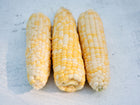 Three ears of Who Gets Kissed sweet corn with yellow and white kernels on a light textured surface.