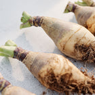 Freshly harvested Wilhelmsburger rutabagas with purple-shouldered roots and golden skin on a light surface.
