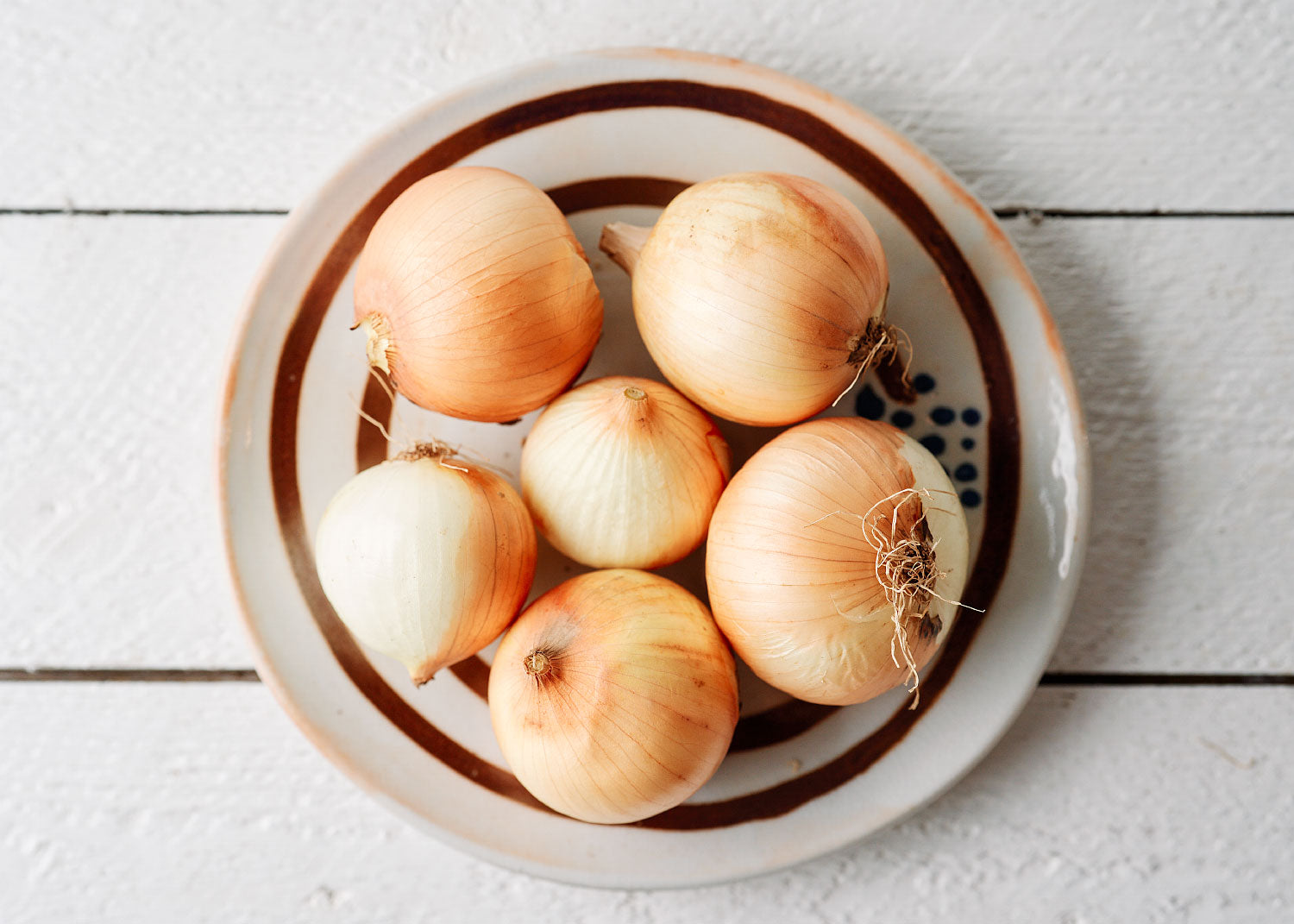 Yellow Sweet Spanish - Onion Seeds