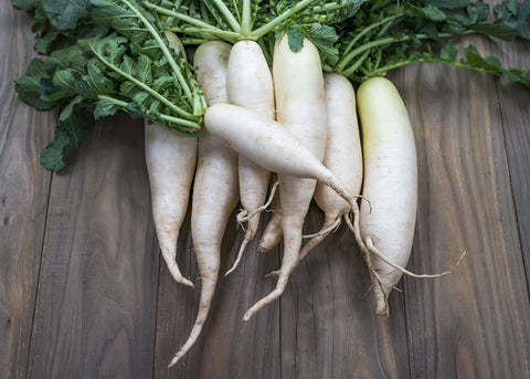 Heirloom Seeds_Radish Daikon_Bucktown Seed Company-01