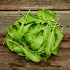Fresh green Roquette arugula leaves piled on a rustic dark wooden surface.