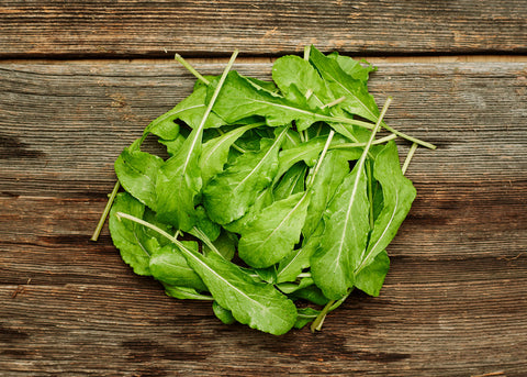 Heirloom Seeds_Arugula Roquette_Bucktown Seed Company-03