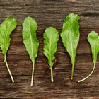 Five fresh, green Roquette arugula leaves with serrated edges laid out on a dark, rustic wooden surface.