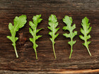 Five fresh, dew-covered Wild Rocket arugula leaves arranged in a row on a dark, weathered wooden surface.