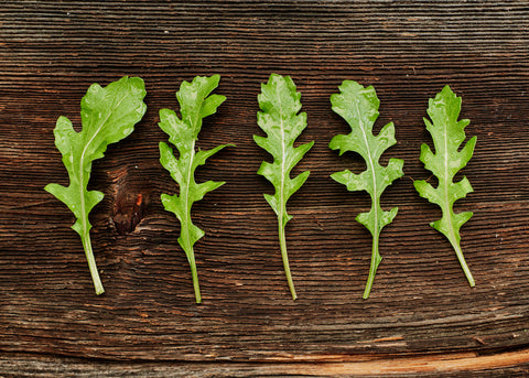 Heirloom Seeds_Arugula Wild_Bucktown Seed Company-03