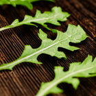 Fresh green Wild Rocket arugula leaves with water droplets arranged on a dark, rustic wooden surface.