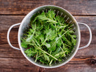 Freshly harvested Mizuna greens with feathery leaves in a stainless steel colander on a rustic wooden surface.