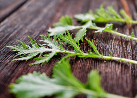 Heirloom Seeds_Asian Greens Mizuna_Bucktown Seed Company-02