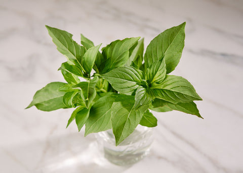 Heirloom Seeds_Basil_Mrs. Burns Lemon_Bucktown Seed Company-01