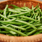 Freshly harvested Blue Lake 274 green beans piled in a woven brown basket.