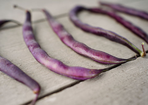Heirloom Seeds_Royalty Purple Pod Bean Seeds_Bucktown Seed Company-03