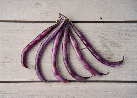 Heirloom Seeds_Royalty Purple Pod Bean Seeds_Bucktown Seed Company-04