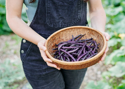 Heirloom Seeds_Royalty Purple Pod Bean Seeds_Bucktown Seed Company-05