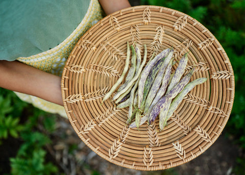 Heirloom Seeds_Bush Beans_Dragons Tongue_Bucktown Seed Company-04