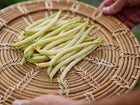 Hands holding a woven basket filled with freshly harvested, bright yellow Golden Wax bush bean pods.