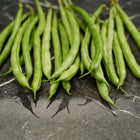 Freshly harvested Jade bush beans with long, slender green pods arranged on a dark marble surface.