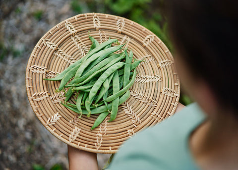 Kentucky Wonder - Pole Bean Seeds - Organic