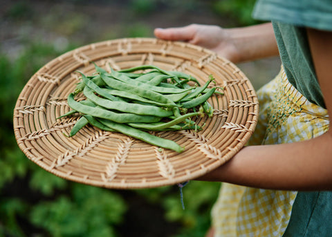 Kentucky Wonder - Pole Bean Seeds - Organic