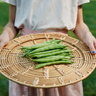 Person holding a woven basket filled with freshly harvested green Provider bush beans outdoors.