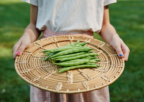 Heirloom Seeds_Beans_Provider_Bucktown Seed Company-03
