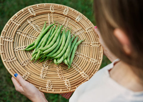 Heirloom Seeds_Beans_Provider_Bucktown Seed Company-04