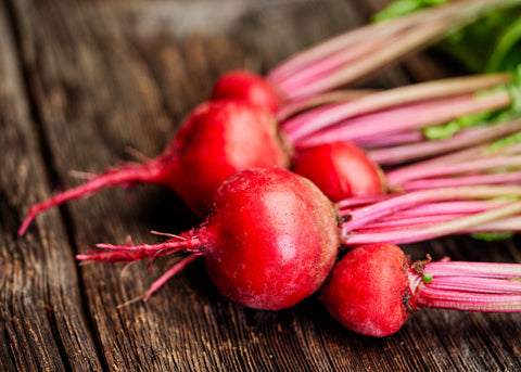 Heirloom Seeds_Beets_Chiogga_Bucktown Seed Company-05