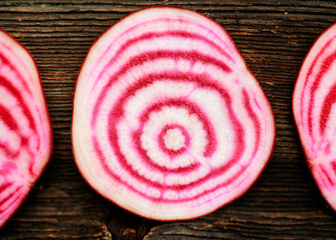 Heirloom Seeds_Beets_Chiogga_Bucktown Seed Company-03