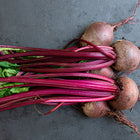 Freshly harvested Detroit Dark Red beets with vibrant magenta stems and green leaves on a dark slate surface.