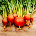 Freshly harvested Golden Detroit beets with bright orange-gold roots and vibrant green stems on a wooden surface.