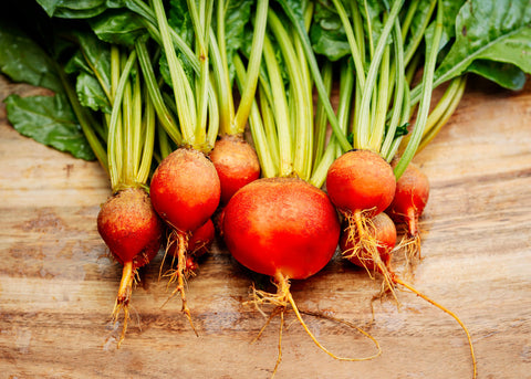Heirloom Seeds_Beets Golden Detroit_Bucktown Seed Company-02