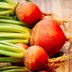 Freshly harvested Golden Detroit beets with bright orange-gold roots and vibrant green stems on a wooden surface.