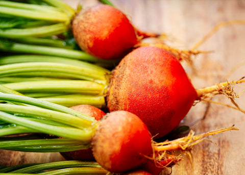 Heirloom Seeds_Beets Golden Detroit_Bucktown Seed Company-03
