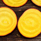 Bright golden-yellow slices of Golden Detroit beets arranged on a dark, textured wooden surface.